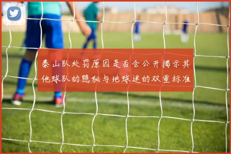 泰山队处罚原因是否会公开揭示其他球队的隐秘与地球迷的双重标准